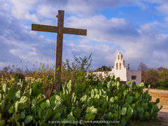 2013121904, Mission San Juan, prickly pear cactus, and cross