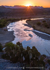 2016030302, Cactus overlooking the Rio Grande at sunrise