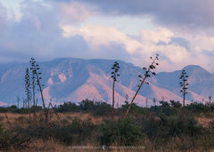 2016110802, Cloudy sunrise on the Guadalupe Mountains