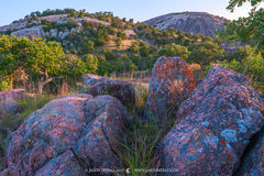 2017063003, Lichen covered boulders