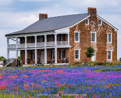 2019032401, Polley Mansion and wildflowers