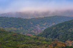 2020111302, Fog covered hills