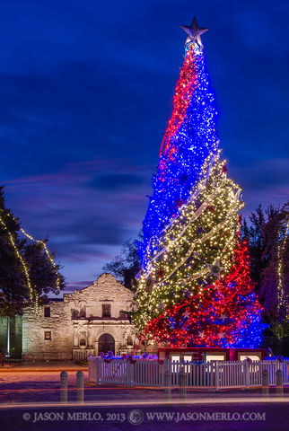 2013121902, Christmas tree at the Alamo at dawn