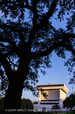 2014010404, Oak tree and Lyndon B. Johnson Presidential Library