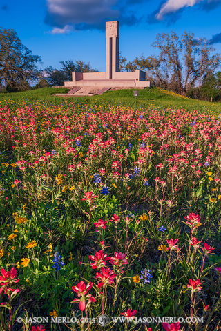 2015032203, Wildflowers and monument