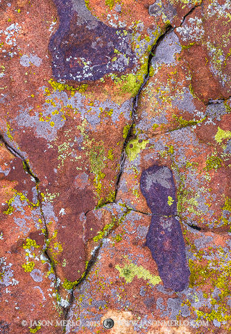 2015111501, Lichen covered sandstone