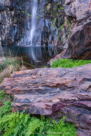 2016121103, Ferns and boulders at Cattail Falls