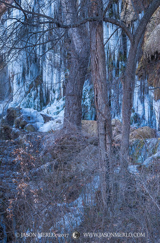 2017010804, Icicles and frozen waterfall at Gorman Falls