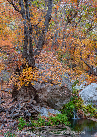 2018110803, Waterfall at Smith Spring