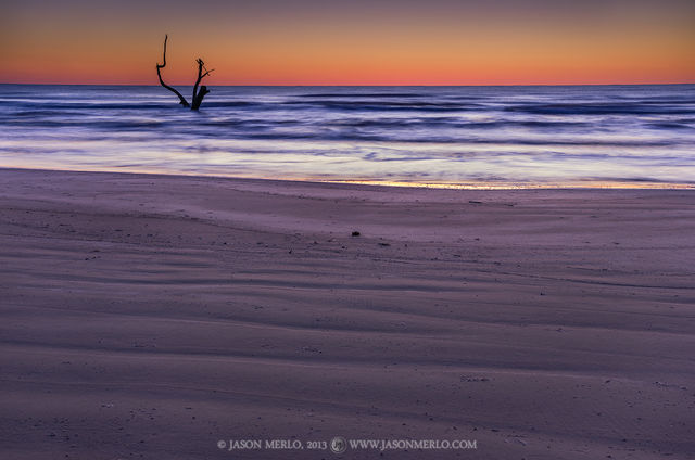 2013030309, Tree silhouette and beach