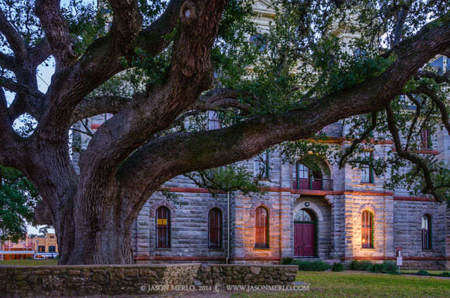 2014021513, Hanging tree at the Goliad County courthouse