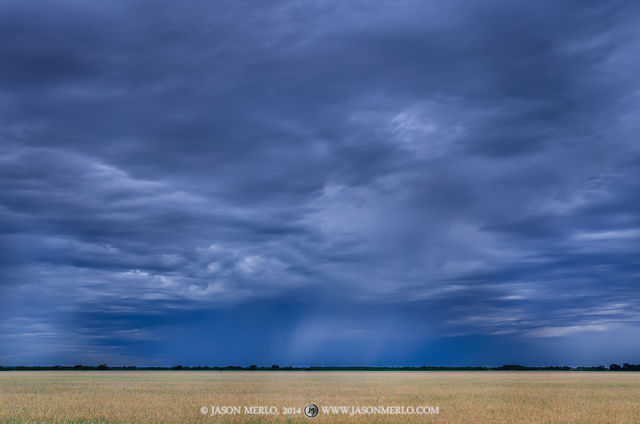 2014052501, Rain shower over wheat field