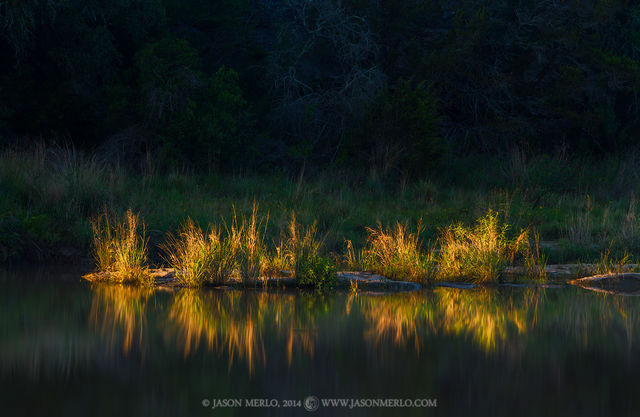 2014053102, Early morning light on the Pedernales River