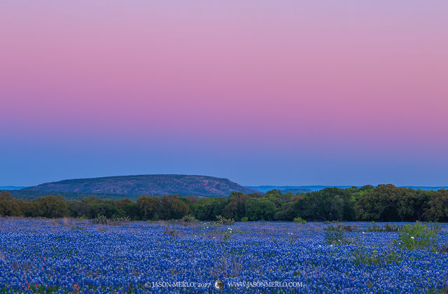 2017033004, Earth shadow over field of Texas bluebonnets