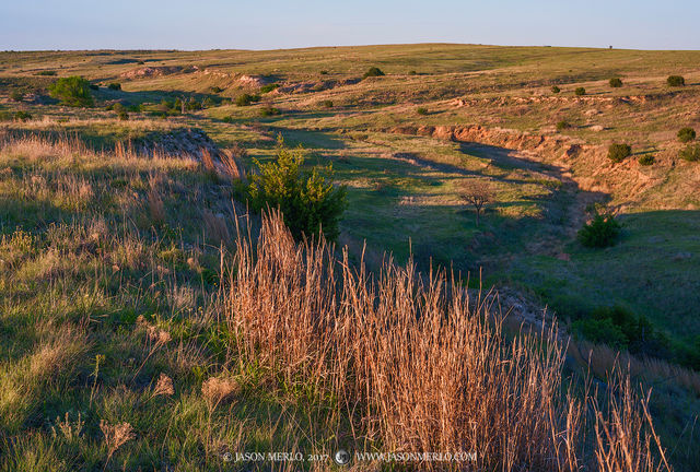 2017050710, Grassland sunset