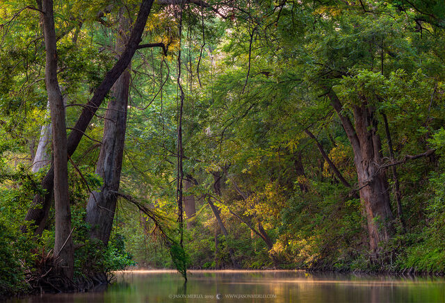 2019062902, First light on the creek