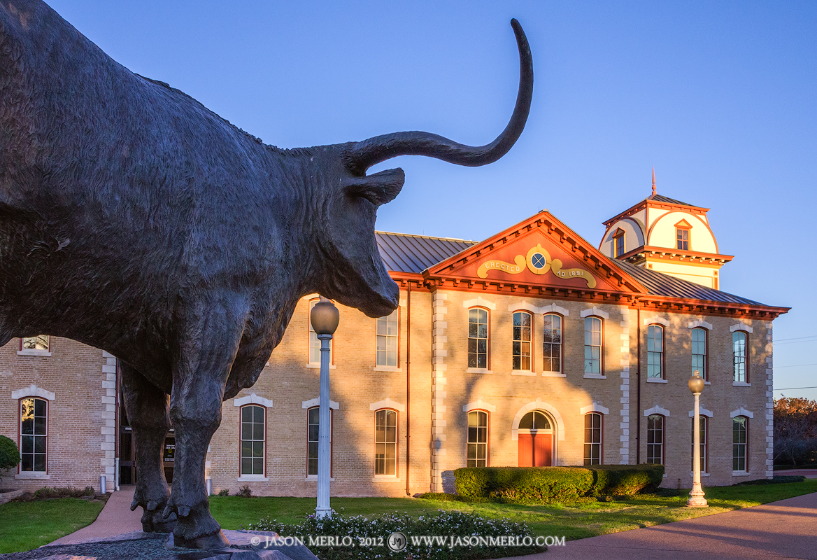 Statue of a longhorn in front of John W. Hargis Hall on the Little Campus at the University of Texas in Austin, Texas.