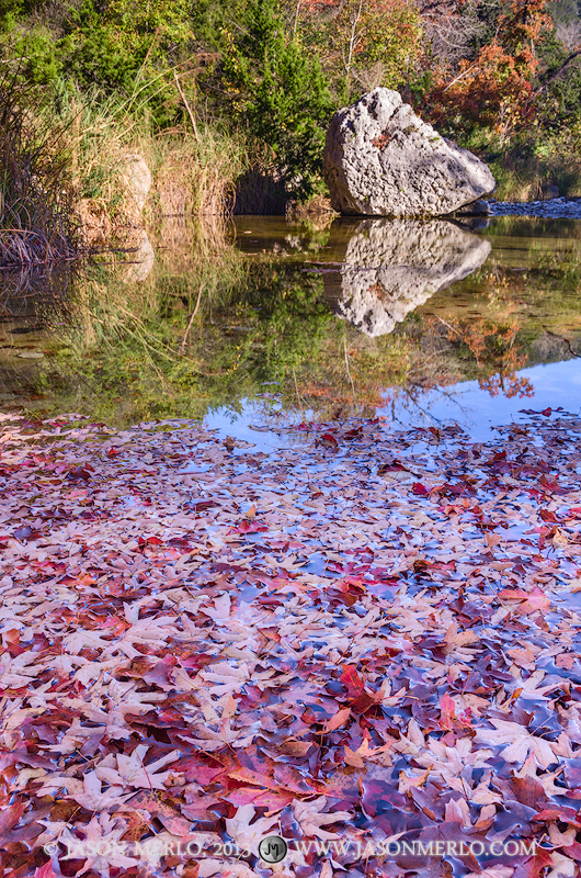 Fallen maple leaves floating on a pool of water beneath a boulder and it's reflection on the Sabinal River at sunrise at Lost...