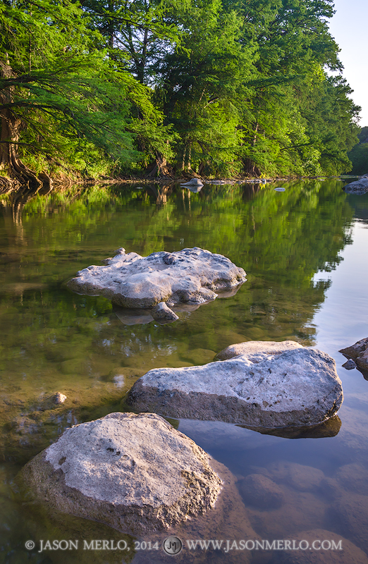 Limestone boulders protrude from the Pedernales River as late afternoon light hits the cypress trees (Taxodium distichum) which...