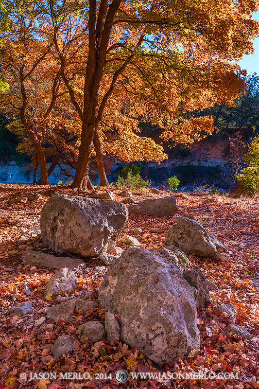 Fallen maple leaves, boulders, and bigtooth maple trees (Acer grandidentatum)&nbsp;in fall color at Lost Maples State Natural...