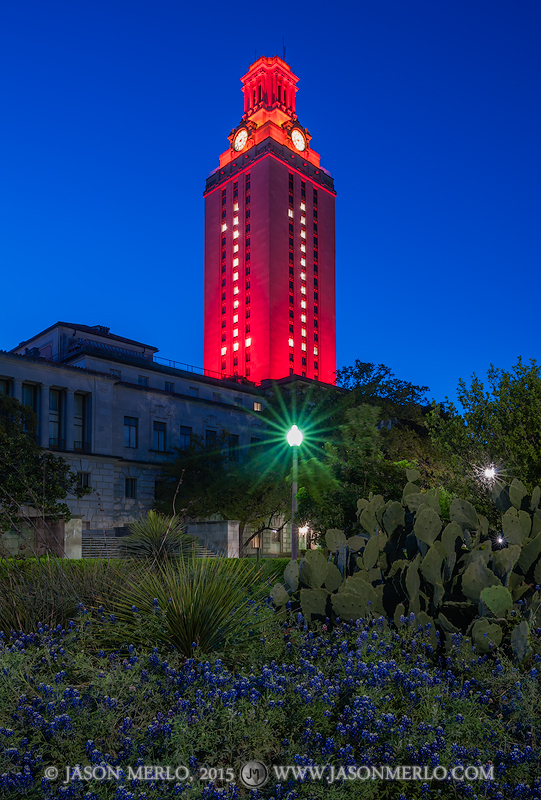 The Tower lit orange with a number 1 for the 2015 Swimming and Diving national championship and a planter with Texas bluebonnets...