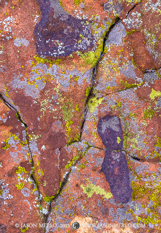 A lichen covered sandstone boulder with cracks throughout in San Saba County in the Texas Cross Timbers.