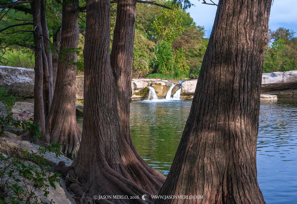 The Upper Falls viewed through cypress trunks on the bank of Onion Creek at McKinney Falls State Park in Austin in the&nbsp;Texas...