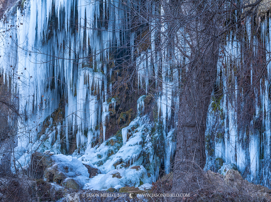 Icicles at a frozen Gorman Falls in Colorado Bend State Park in San Saba County in the Texas Hill Country.