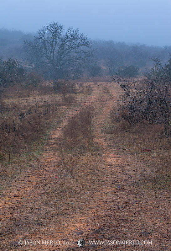 A ranch road winds through a pasture on a foggy day in San Saba County in the Texas Cross Timbers.