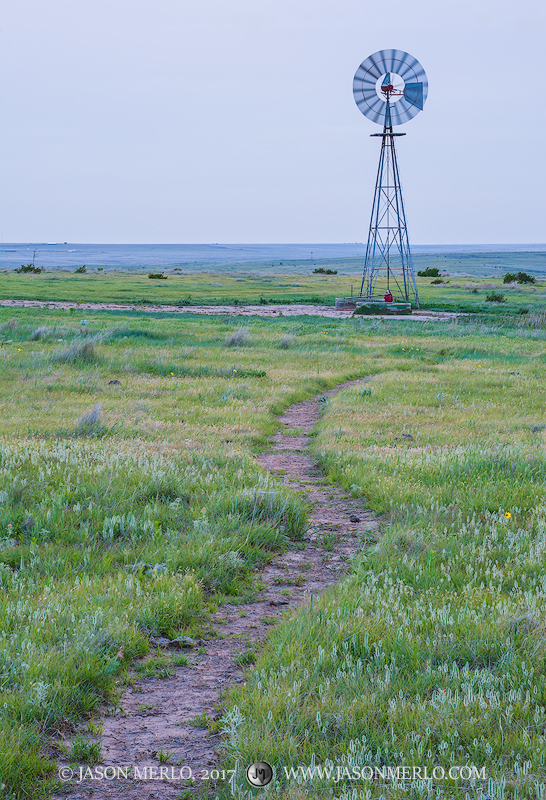 A cattle trail and windmill in Armstrong County in the&nbsp;Texas Panhandle Plains.