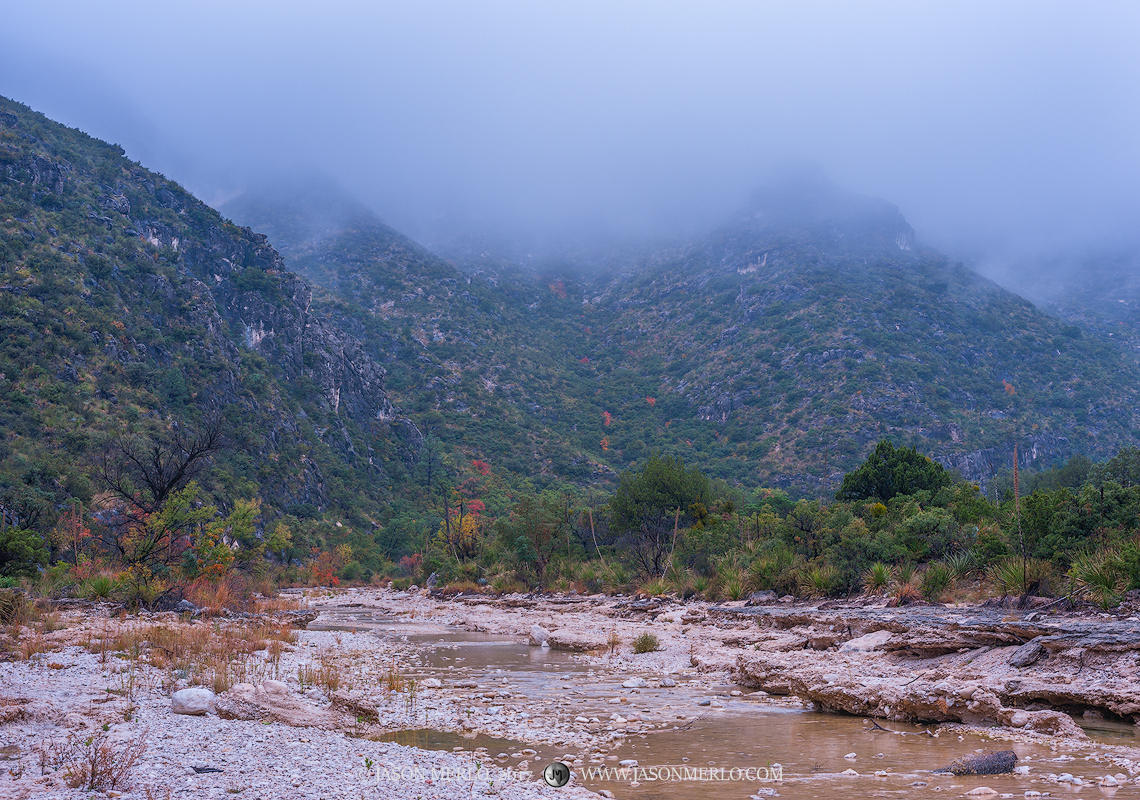 McKittrick Creek runs beneath fog covered cliffs in Guadalupe Mountains National Park in Culberson County in West Texas.