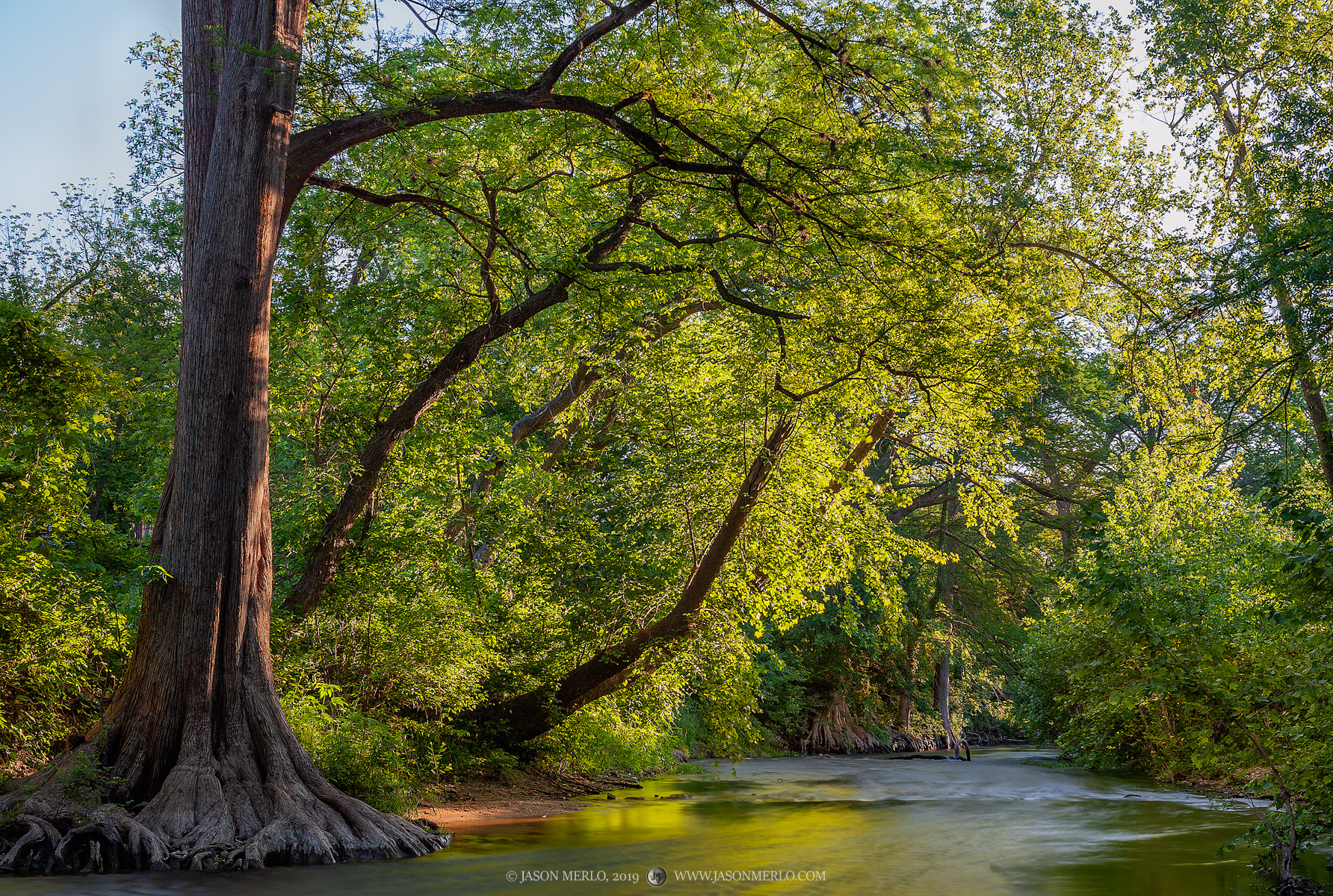 Sunrise on a creek in the Texas Hill Country.