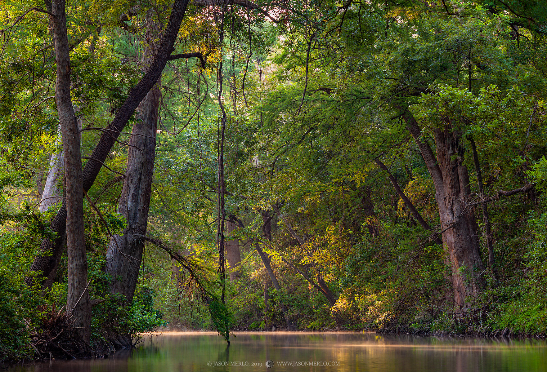 First light on a creek in the Texas Hill Country.