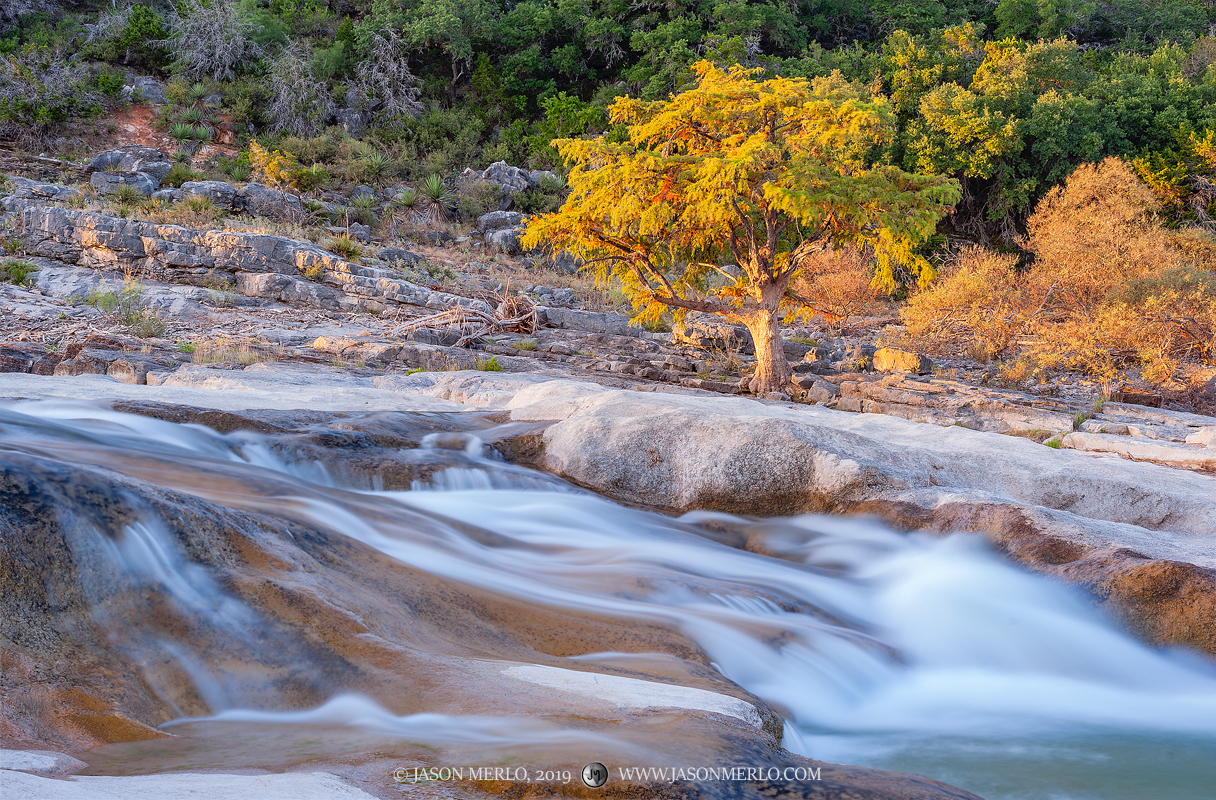 A waterfall cascades over limestone while the last light of the day illuminates a cypress tree above it at Pedernales Falls State...