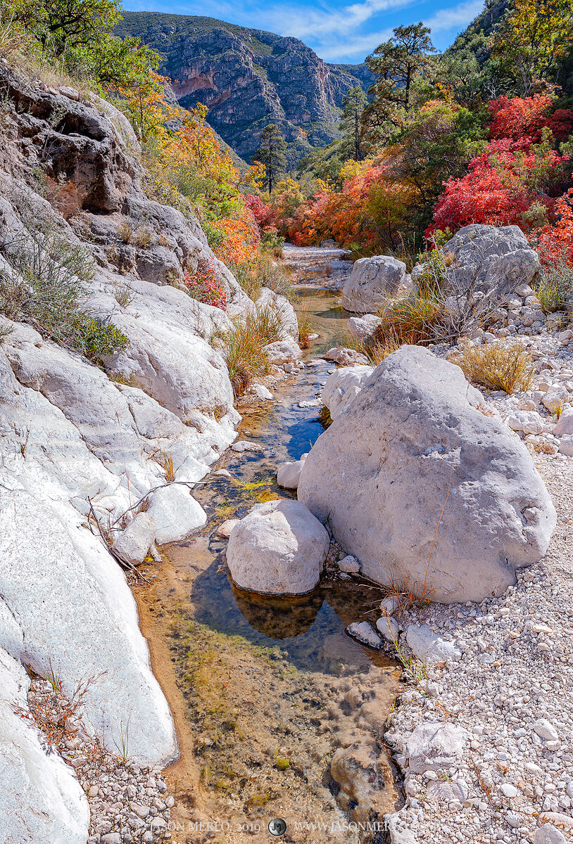 A mountain stream running through McKittrick Canyon during peak fall color at Guadalupe Mountains National Park in Culberson...
