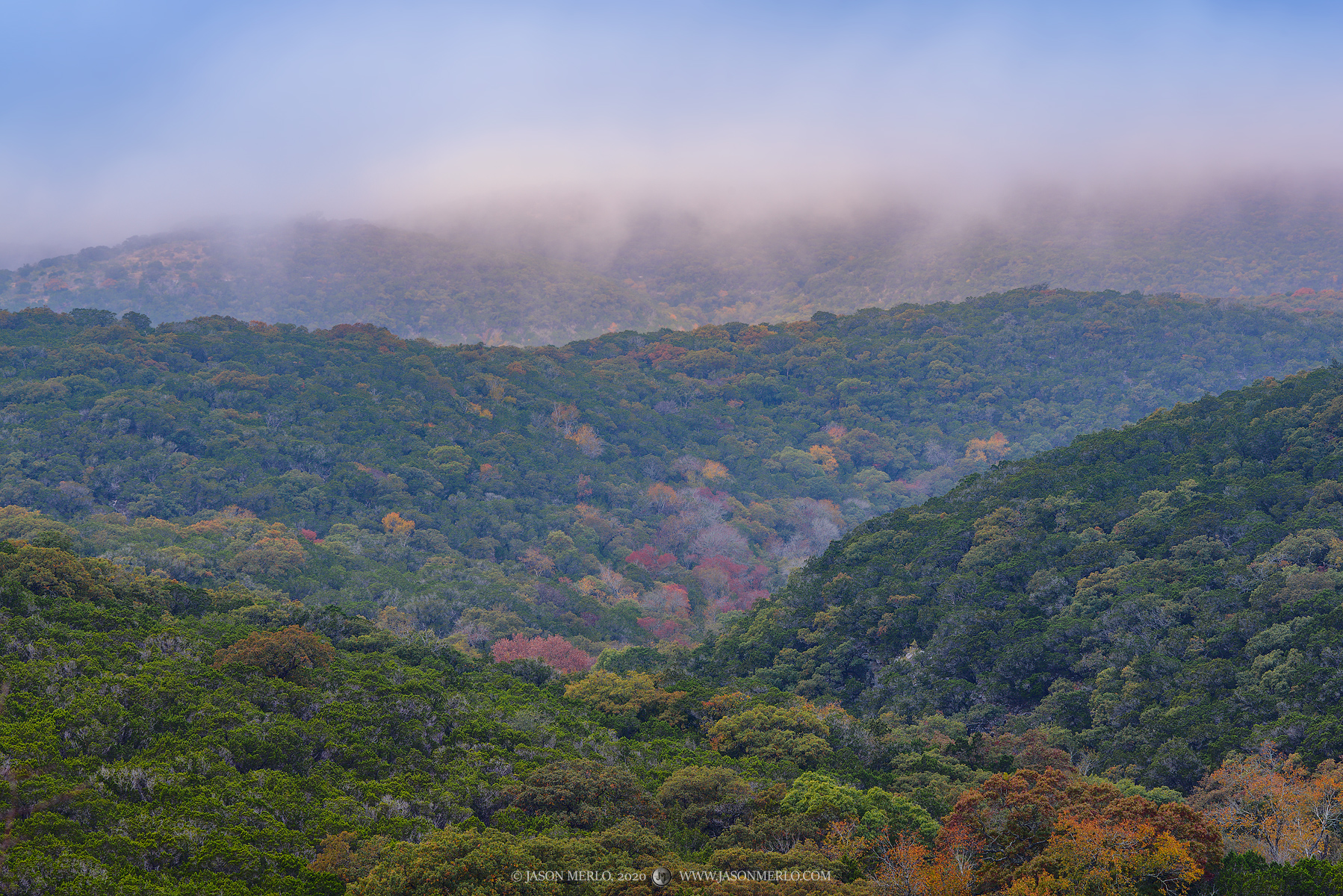 Fog covered hills dotted with fall foliage in Real County, Texas.