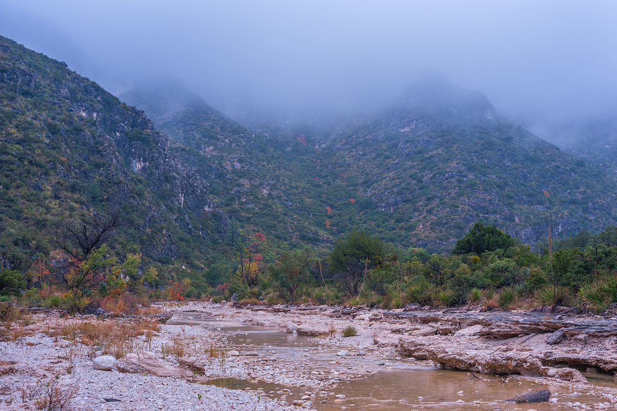 McKittrick Creek runs beneath fog covered cliffs in Guadalupe Mountains National Park in Culberson County, Texas.